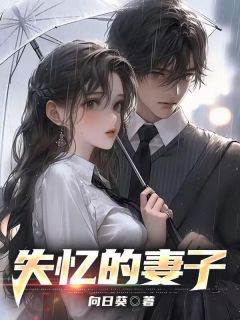 失忆的妻子by向日葵 顾琛沈凝章节目录