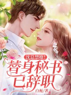 沈总禁撩!替身秘书已辞职