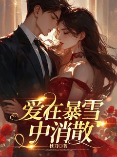 《爱在暴雪中消散》大结局精彩试读 《爱在暴雪中消散》最新章节目录