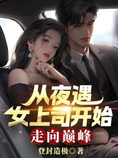 从夜遇女上司开始，走向巅峰左开宇沈南星小说精彩内容免费试读