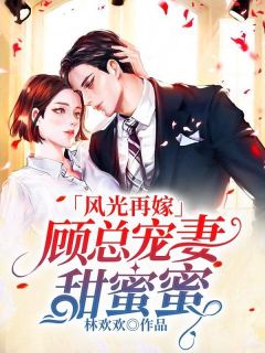 风光再嫁:顾总宠妻甜蜜蜜