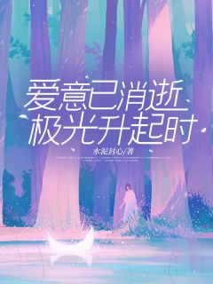 爱意已消逝,极光升起时完整全文阅读 姜羽落唐慧敏小说结局无删节