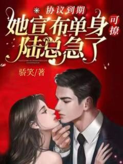 协议到期,她宣布单身可撩陆总急了