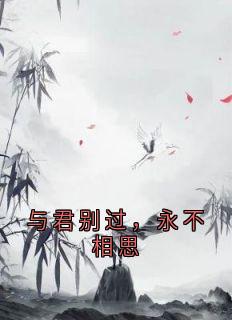 与君别过,永不相思