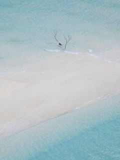 《享福之人》小说章节在线试读 赵媛温以凡温辞小说全文