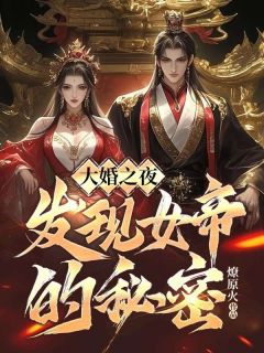 大婚之夜,发现女帝的秘密小说全文在线阅读 苏哲清河全文完整版章节
