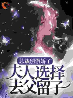总裁别傲娇了,夫人选择去父留子