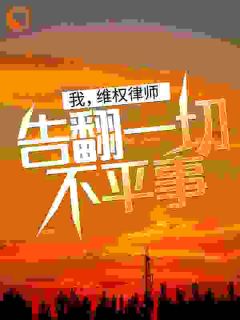 张耀莫璃小说 我，维权律师，告翻一切不平事！(张耀莫璃)小说阅读