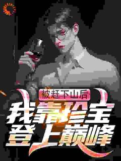 好书推荐《被赶下山后，我靠珍宝登上巅峰》叶天行苏雨岚全文在线阅读