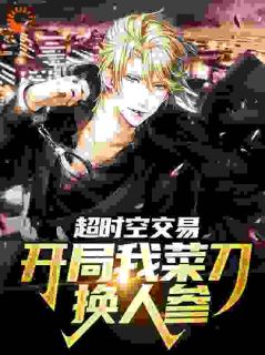 超时空交易：开局我菜刀换人参by芝麻 叶小达徐慧阅读全文