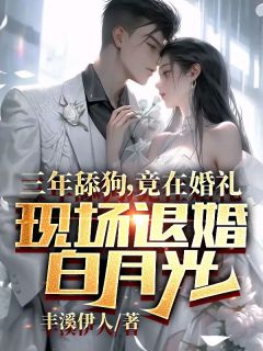 三年舔狗,竟在婚礼现场退婚白月光