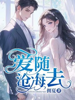 《爱随沧海去》泱泱宋峤完结版免费试读