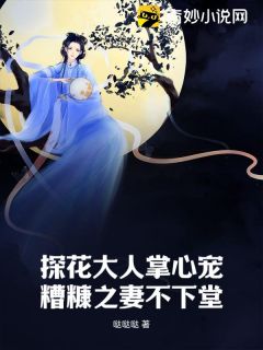 《探花大人掌心宠,糟糠之妻不下堂》凌月林晚全文免费试读
