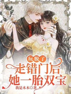 玩脱了,走错门后她一胎双宝