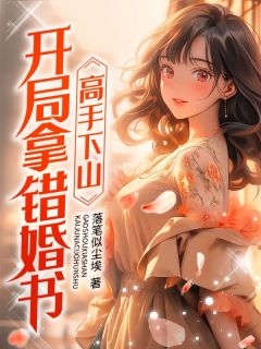 高手下山:开局拿错婚书