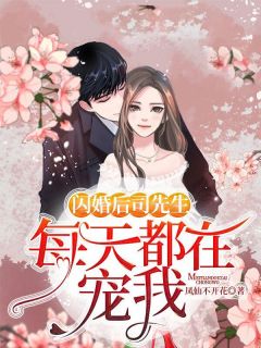 闪婚后,司先生每天都在宠我