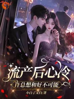 流产后心冷，许总想和好不可能全文精彩章节在线阅读（叶沐笒许复昂）