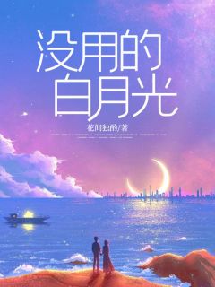 没用的白月光by花间独酌 陆宇赵梓章节目录