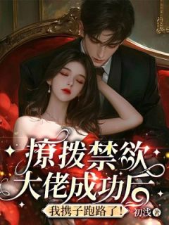 撩拨禁欲大佬成功后,我携子跑路了!主角苏瓷陆宴时全文章节免费试读
