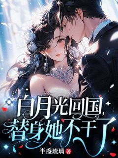 许南嫣陆淮景by半盏琉璃 白月光回国，替身她不干了章节目录