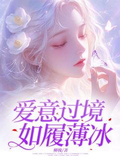 爱意过境,如履薄冰免费阅读(傅思雨傅淮川全本资源) 无广告