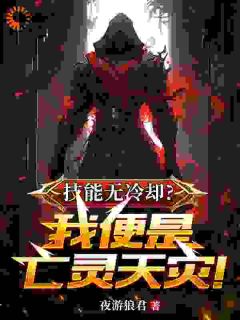 技能无冷却?我便是亡灵天灾