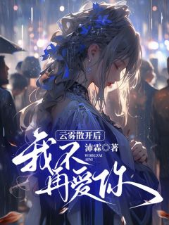 《云雾散开后,我不再爱你》小说免费试读 《云雾散开后,我不再爱你》最新章节列表