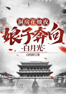 《洞房花烛夜,娘子奔向白月光》小说章节免费试读 李九霄林诗薇小说阅读