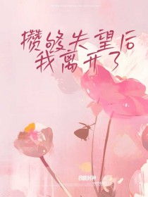 《攒够失望后,我离开了》江夜罗佳完结版精彩试读