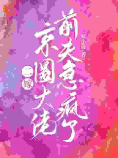 二嫁京圈大佬,前夫急疯了小说全文免费阅读 喻研向景恒章节目录精彩章节