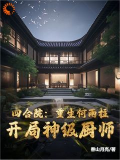 四合院重生何雨柱,开局神级厨师