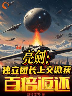 亮剑:独立团长上交缴获百倍返还