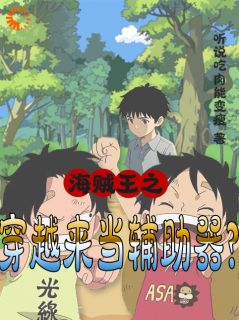 海贼王之穿越来当辅助器?