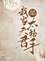 彪悍小娘子,我家夫君太抢手