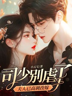 司少别虐了,夫人已高调改嫁