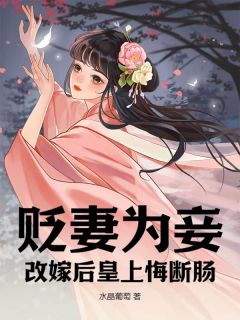 《贬妻为妾,改嫁后皇上悔断肠》小说章节目录在线阅读 宋玉卿李彻小说全文
