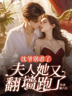 沈爷别虐了,夫人她又翻墙跑了