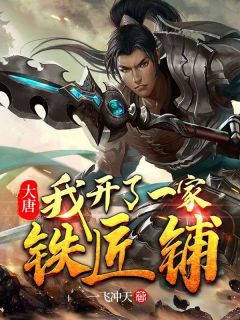 《大唐:我开了一家铁匠铺》苏三尉迟敬德章节目录精彩阅读