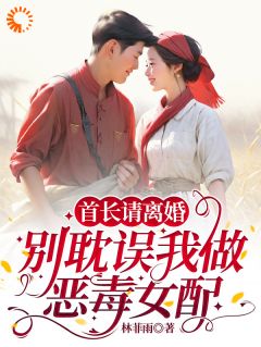 首长请离婚,别耽误我做恶毒女配