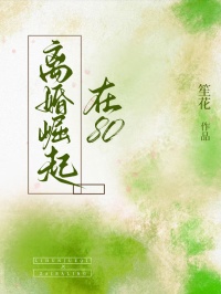 主角是张兰祈安的小说在哪看 《离婚崛起在80》小说阅读入口