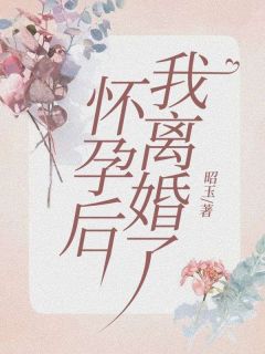 《怀孕后我离婚了》李昭豆子精彩内容在线阅读