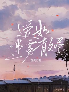 《爱如迷雾散尽》陈落落宋淮之章节列表免费阅读