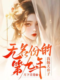 柳溪慕容澈by月下青莲 无名份的第九年,我抛夫弃子免费在线全文阅读