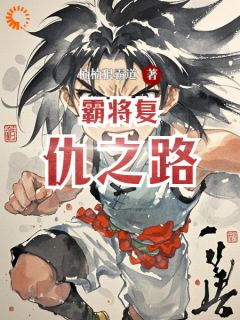 霸将复仇之路江渝艾登全文在线阅读