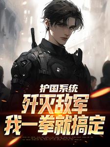 护国系统:歼灭敌军我一拳就搞定