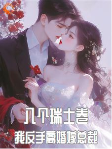 八个瑞士卷,我反手离婚嫁总裁林晓旭顾南洵小说全文章节阅读 八个瑞士卷,我反手离婚嫁总裁免费完整版