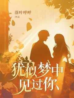 犹似梦中见过你苏明朗秦韵小说阅读 犹似梦中见过你文本免费试读