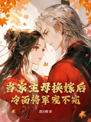 当家主母换嫁后,冷面将军宠不完