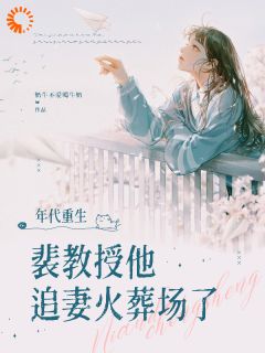 年代重生:斐教授他追妻火葬场了
