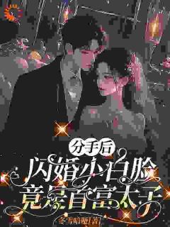 《分手后，闪婚小白脸竟是首富太子》大结局精彩试读 《分手后，闪婚小白脸竟是首富太子》最新章节目录